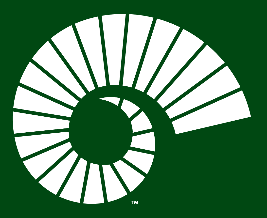 Colorado State Rams 2015-Pres Alternate Logo t shirts iron on transfers v3